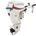 2018 Evinrude E-TEC 25 HP E25DTSL Outboard Motor